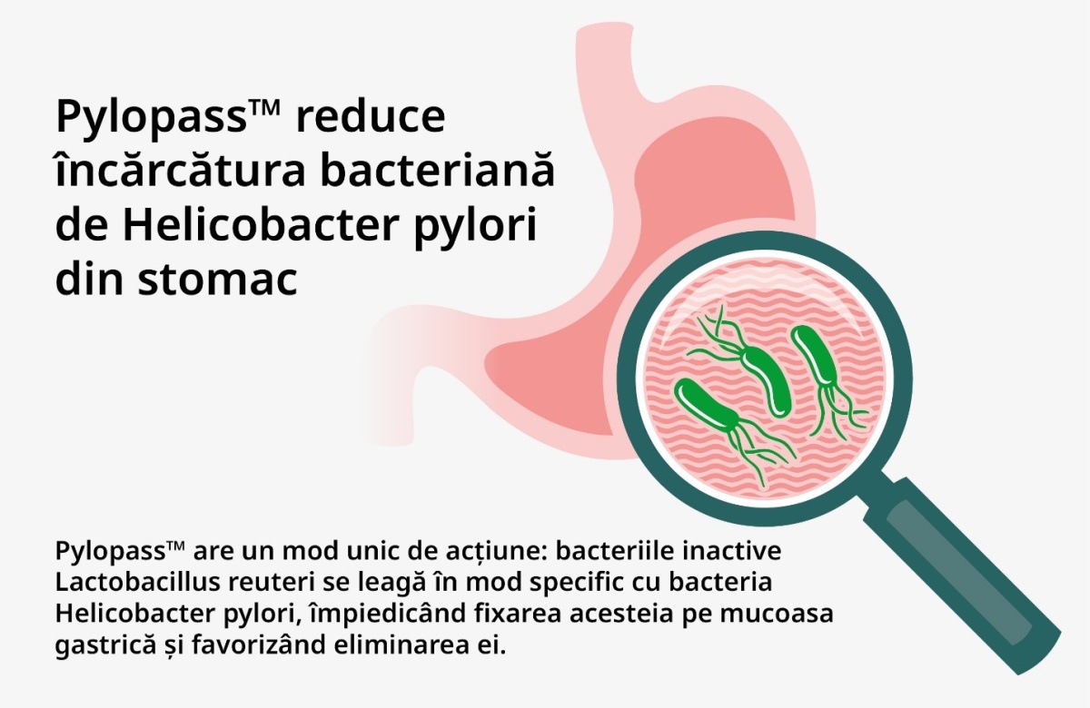 Helicobiotic Zenyth