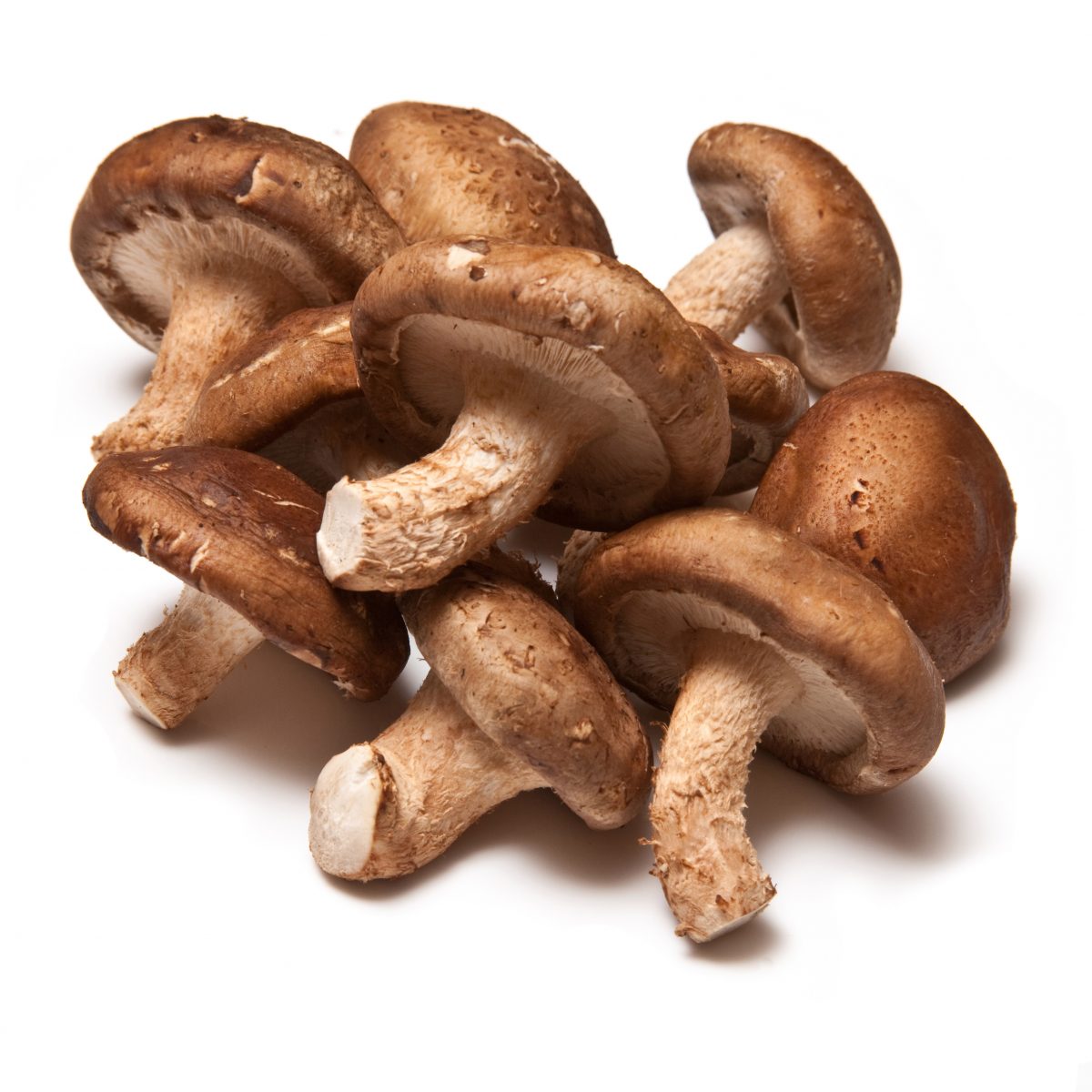 shitake pierderea de grăsime de ciuperci cea mai eficientă modalitate de a pierde rapid grăsimea