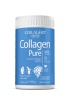 Collagen Pure Zenyth