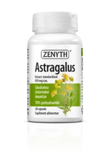 Astragalus