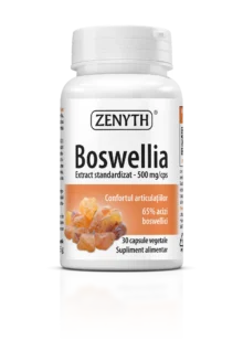 Boswellia 500 mg, 30 capsule