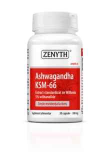 Ashwagandha KSM-66 300 mg, 30 capsule