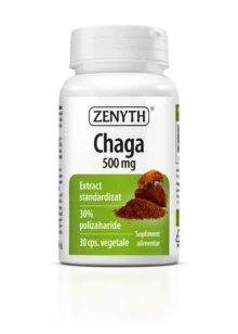 Chaga 500 mg, 30 capsule