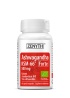Ashwagandha KSM-66 Forte Zenyth