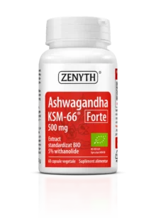 Ashwagandha KSM-66 Forte 500 mg, 60 capsule